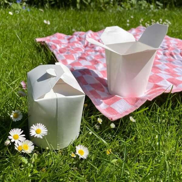 Klein bakje voor picknick box van karton