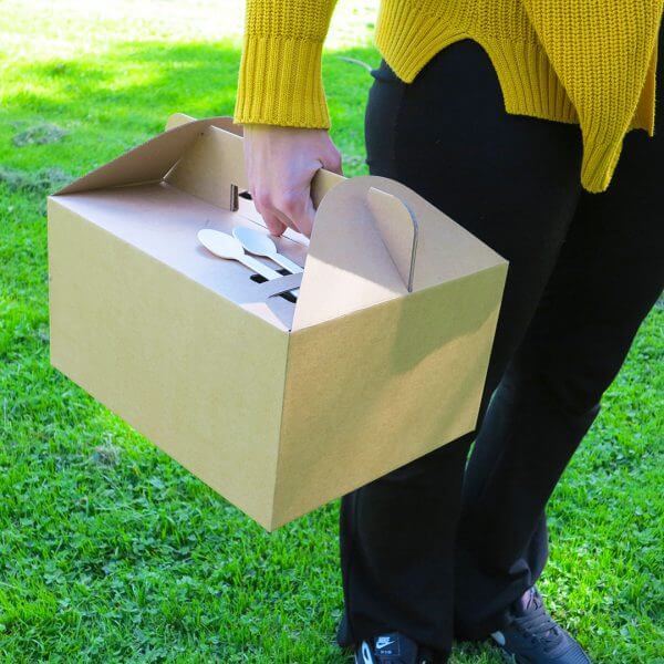 Cardboard carrying box