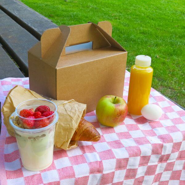 Cardboard lunch box with handle